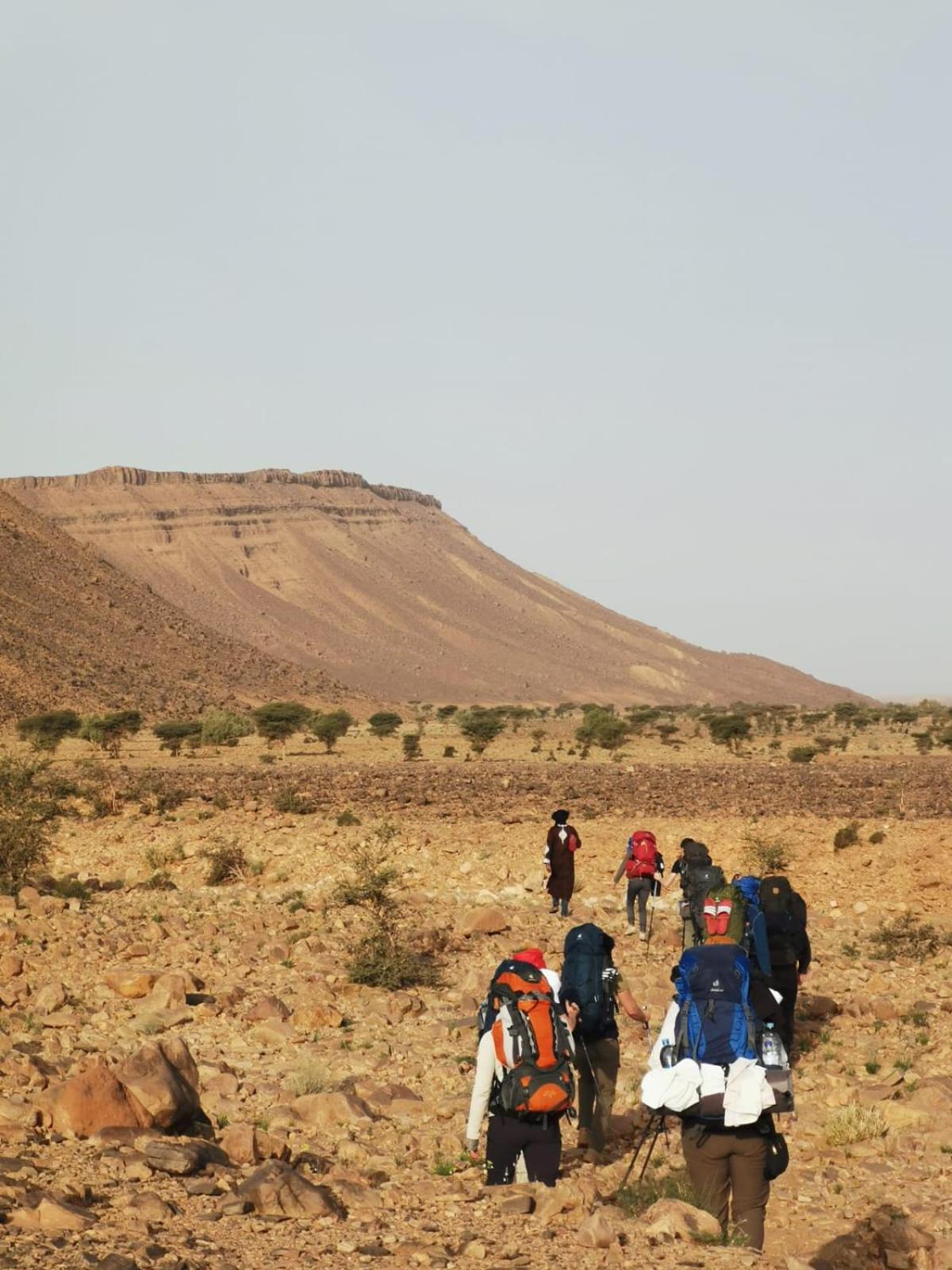 Bivouac Les Nomades & Foum Zguid To Chegaga Tours Ξενοδοχείο Εξωτερικό φωτογραφία